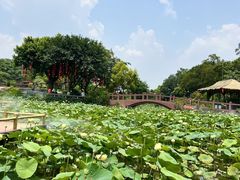 -广州莲花山旅游区