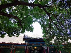 -张学良旧居陈列馆