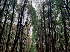 -同里国家湿地公园