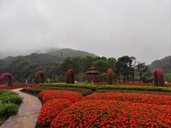 -广州市石门国家森林公园