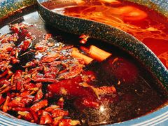 重庆红油经典鸳鸯锅-王歘歘·chuǎ火锅(五道营店)