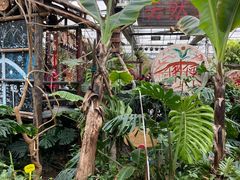-呀路古热带植物园