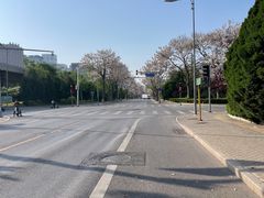 -素心小筑(后沙裕镇店)