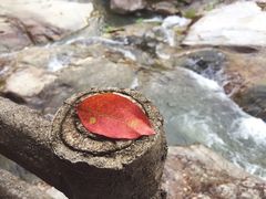 -梁野山景区