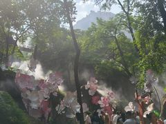 -秦岭终南山世界地质公园翠华山景区