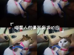 -深圳野生动物园