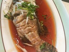 -巧克力渔家.小船海鲜胶东菜(万平口店)