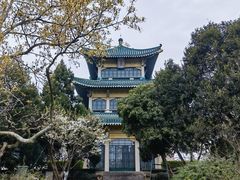 -东湖听涛景区