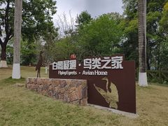 -广州市流溪河国家森林公园