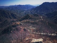-大岭沟猕猴桃谷风景区
