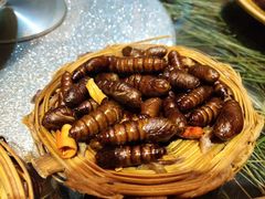 -昆虫窝子·特色云南菜(拓东路总店)