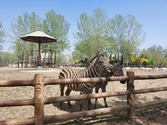 -大连森林动物园