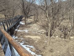 -白水寺森林公园