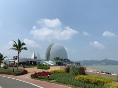 -野狸岛