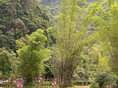 -靖西鹅泉风景区