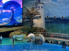 -海合安武汉极地海洋公园