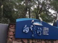 -白鹭湾湿地公园