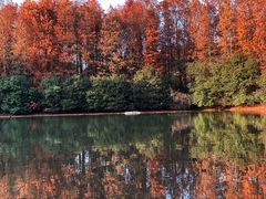 -上海海湾国家森林公园