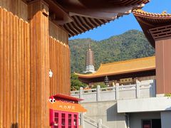 -深圳仙湖植物园