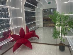 点击看大图 -Lily纤美·科技减脂中心