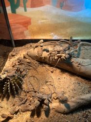 -酷嗒动物文化乐园(cutezoo西溪乐天城店)