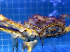 -启东小海鲜(庄先湾路1号店)