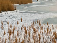 -野鸭湖国家湿地公园