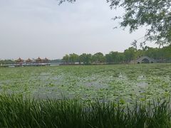 -长春市南湖公园