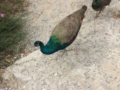 -大平台龙居瀑布旅游区