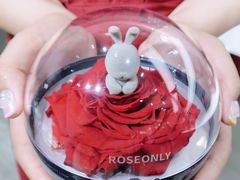-ROSEONLY诺誓(沈阳万象城店)