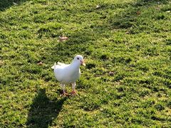 -乌江鱼杭帮菜(西湖店)