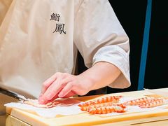 -鮨鳳