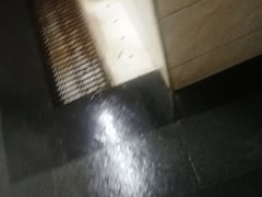 -百利鸽王(紫薇路店)