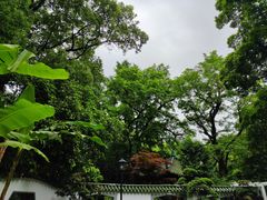 -中山公园