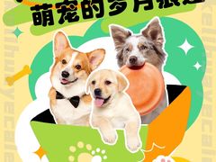 -美联众合动物医院·24h转诊中心