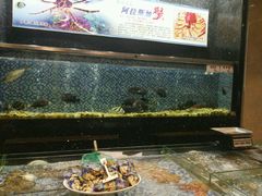 水产区-雅盛品931海鲜酒家