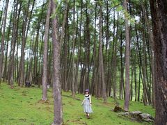 -硗碛藏寨·神木垒景区