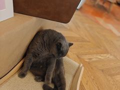 -Me Coffee下午茶艺术空间