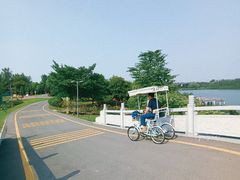 -西安浐灞国家湿地公园