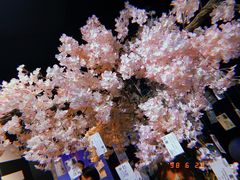 -上海外滩星空失恋减压馆(外滩旗舰馆)