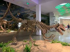 -自贡恐龙博物馆