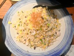 扬州炒饭-扬州狮子楼·非遗淮扬菜(东关街店)