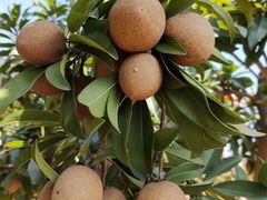 -中国移动南方基地