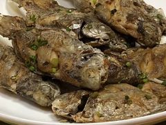 -惠来大排档(联创商业街店)