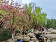 -西安青龙寺遗址景区