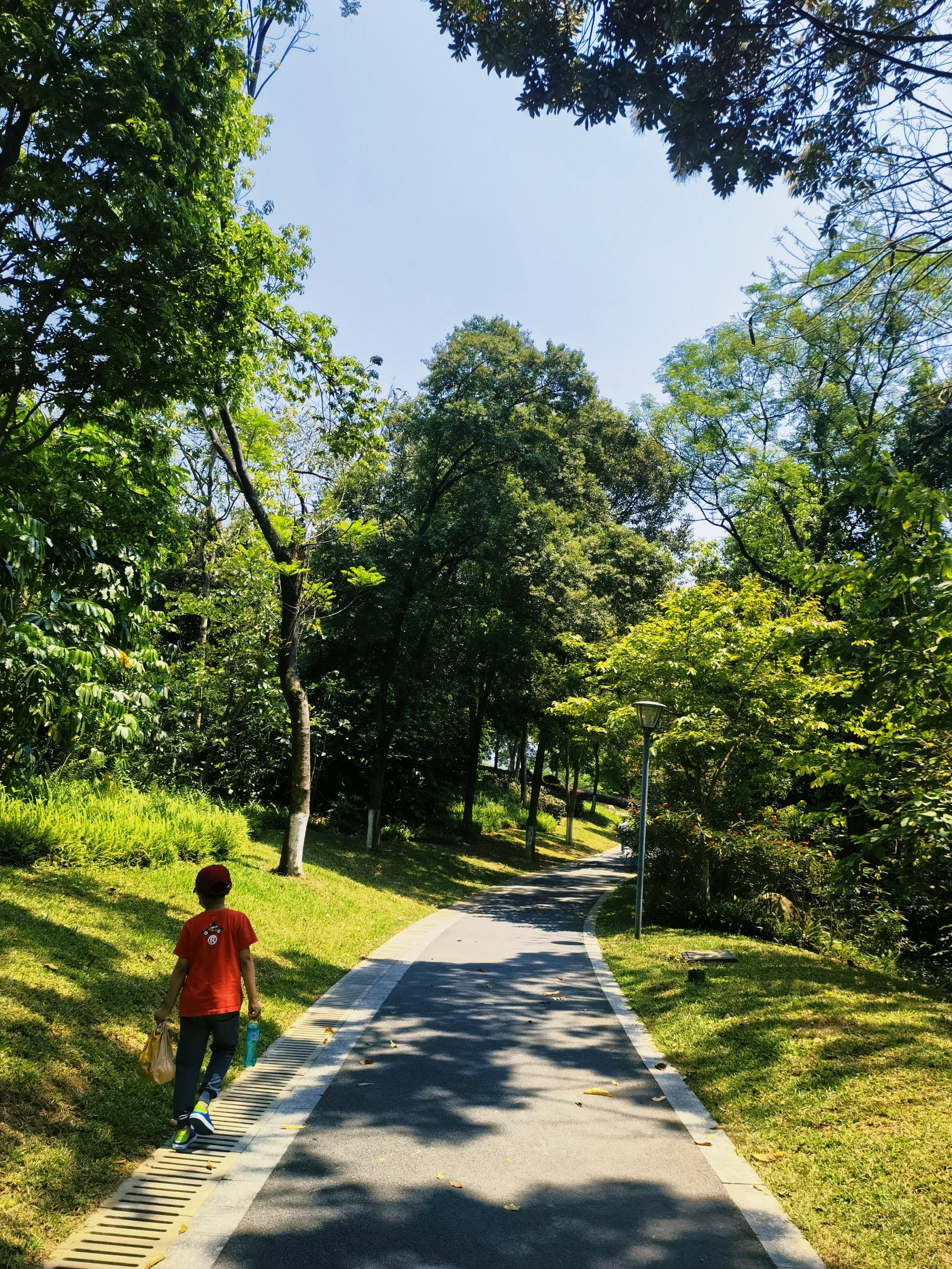 广州黄埔区尖峰岭公园图片