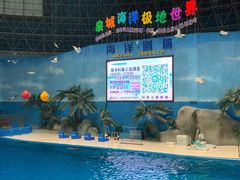 -泉城欧乐堡海洋极地世界