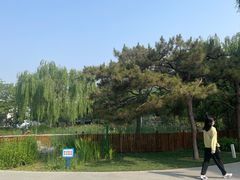 -黄村公园
