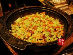 -西郊5号·Maggie 5
