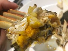 -新花城蟹粉馆(乌鲁木齐店)